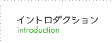 イントロダクションページ